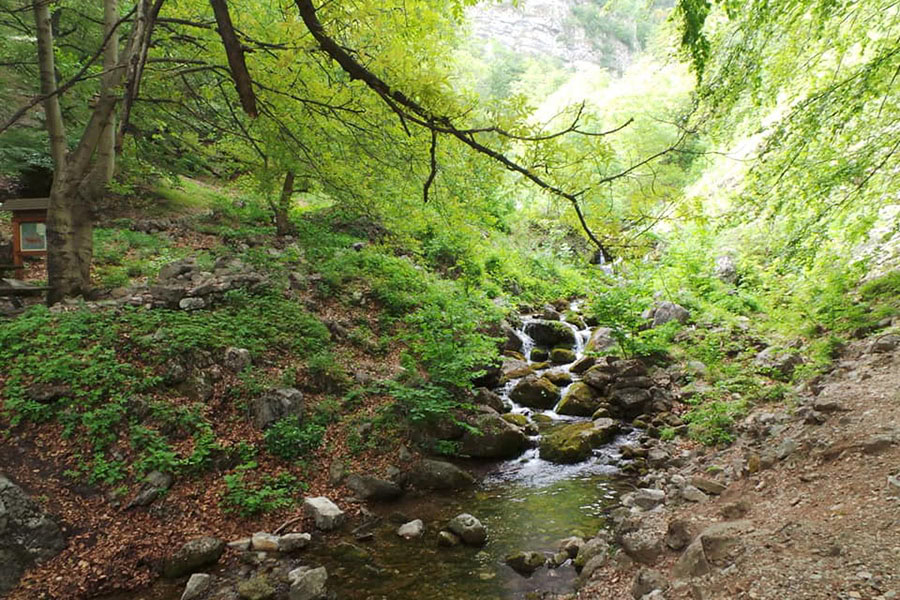 Водопад Боров камък и екопътеката край Враца - пролетно приключение сред скали 5 Екопътека Боров камък